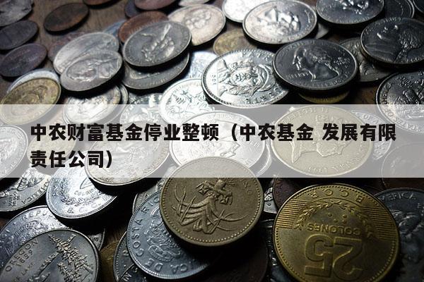 中农财富基金停业整顿（中农基金 发展有限责任公司）