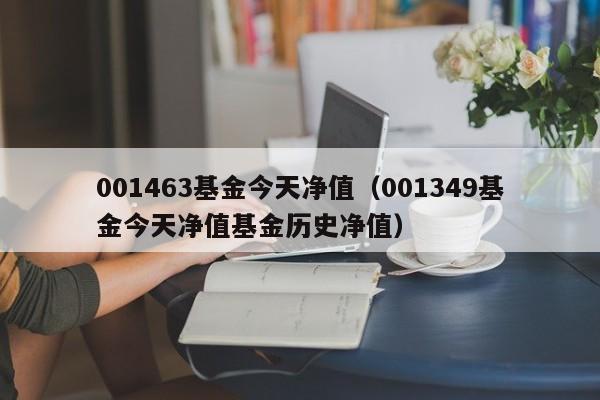 001463基金今天净值（001349基金今天净值基金历史净值）