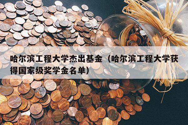 哈尔滨工程大学杰出基金（哈尔滨工程大学获得国家级奖学金名单）
