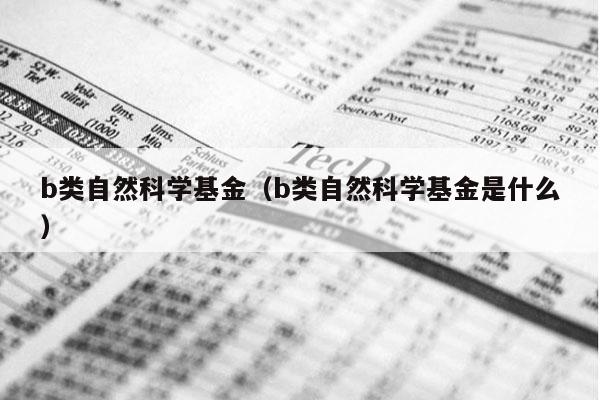 b类自然科学基金（b类自然科学基金是什么）