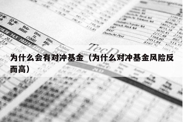为什么会有对冲基金（为什么对冲基金风险反而高）