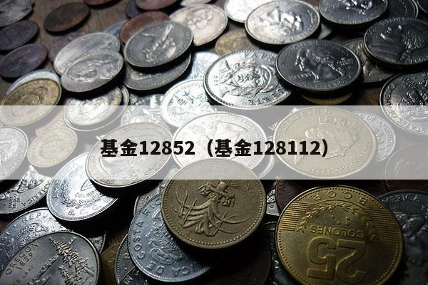 基金12852（基金128112）