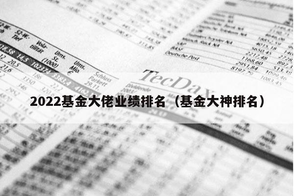 2022基金大佬业绩排名（基金大神排名）