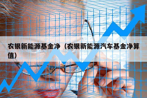 农银新能源基金净（农银新能源汽车基金净算值）