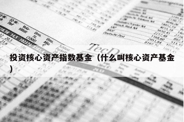 投资核心资产指数基金（什么叫核心资产基金）