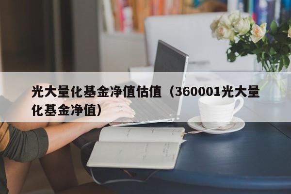 光大量化基金净值估值（360001光大量化基金净值）