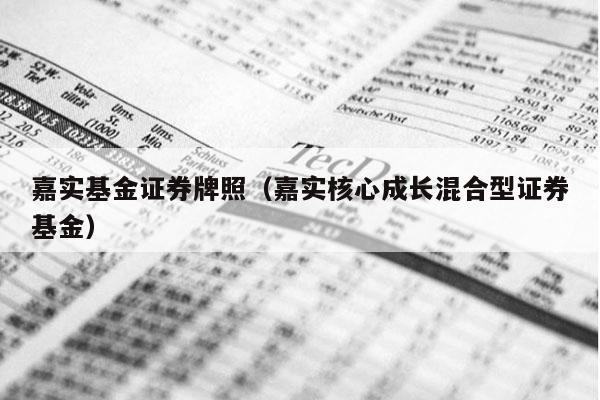 嘉实基金证券牌照（嘉实核心成长混合型证券基金）