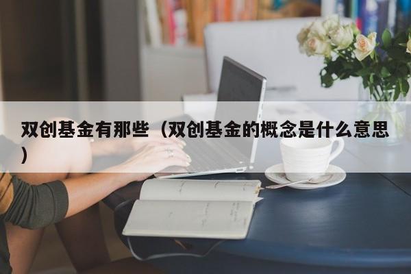 双创基金有那些（双创基金的概念是什么意思）