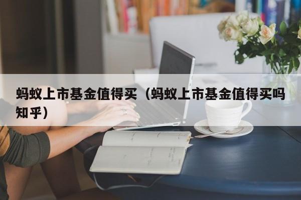 蚂蚁上市基金值得买（蚂蚁上市基金值得买吗知乎）
