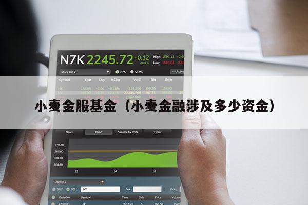 小麦金服基金（小麦金融涉及多少资金）