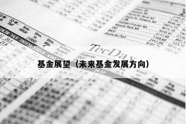 基金展望（未来基金发展方向）