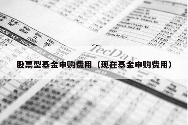 股票型基金申购费用（现在基金申购费用）