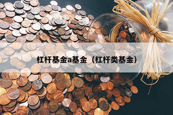 杠杆基金a基金（杠杆类基金）