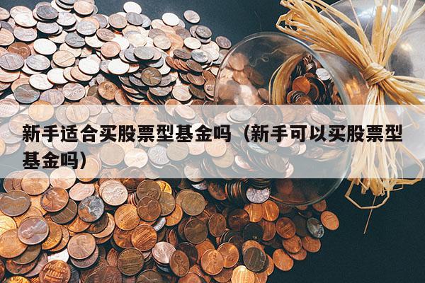新手适合买股票型基金吗（新手可以买股票型基金吗）