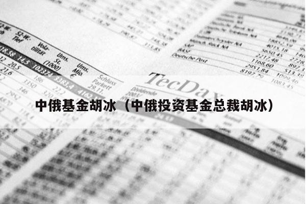 中俄基金胡冰（中俄投资基金总裁胡冰）