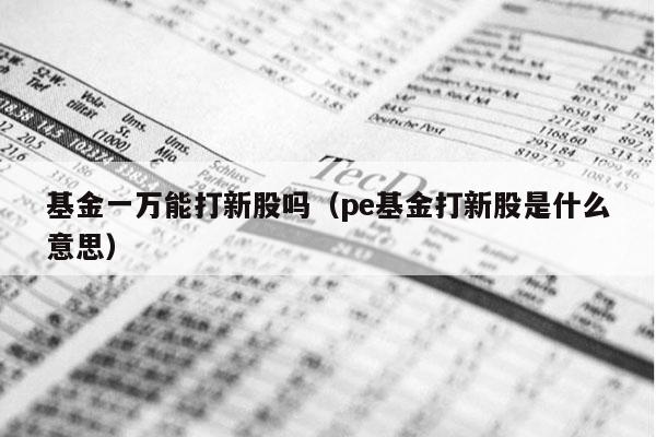 基金一万能打新股吗（pe基金打新股是什么意思）