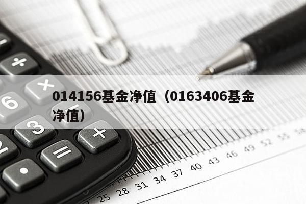 014156基金净值（0163406基金净值）