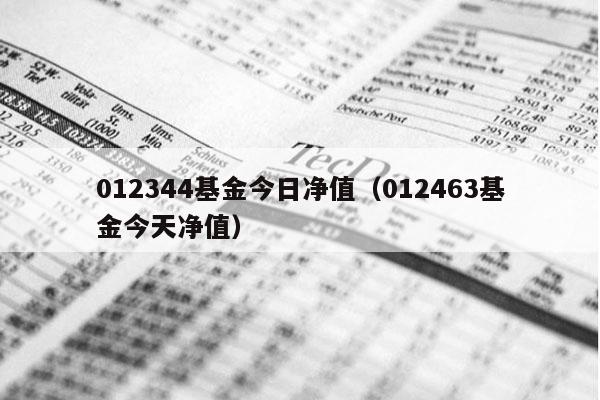 012344基金今日净值（012463基金今天净值）