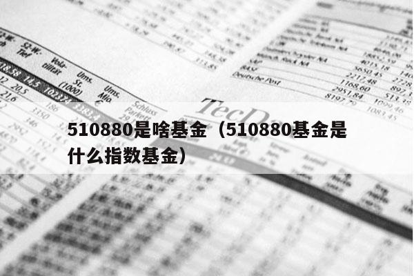 510880是啥基金（510880基金是什么指数基金）