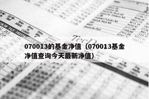 070013的基金净值（070013基金净值查询今天最新净值）