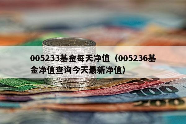005233基金每天净值（005236基金净值查询今天最新净值）