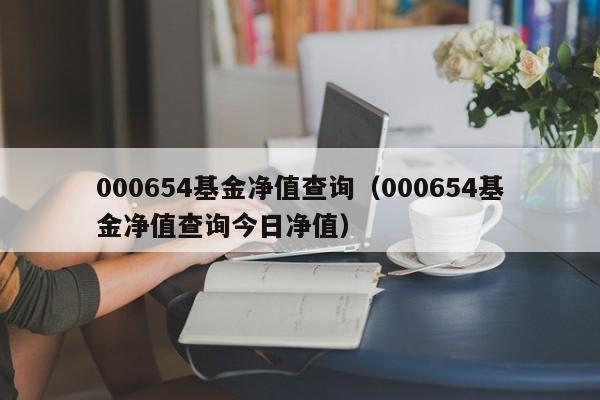 000654基金净值查询（000654基金净值查询今日净值）