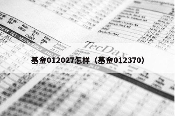 基金012027怎样（基金012370）