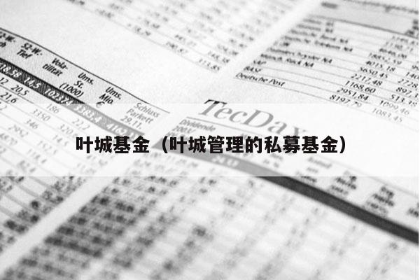 叶城基金（叶城管理的私募基金）