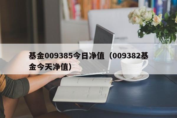 基金009385今日净值（009382基金今天净值）