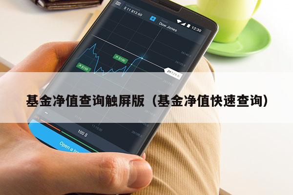 基金净值查询触屏版（基金净值快速查询）