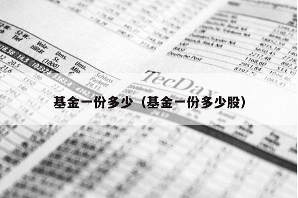基金一份多少（基金一份多少股）