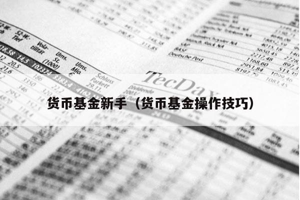 货币基金新手（货币基金操作技巧）