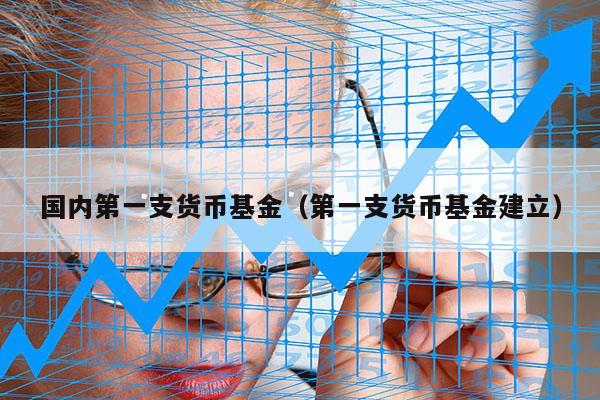 国内第一支货币基金（第一支货币基金建立）