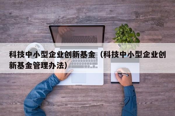 科技中小型企业创新基金（科技中小型企业创新基金管理办法）