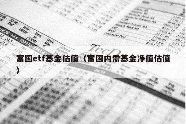 富国etf基金估值（富国内需基金净值估值）