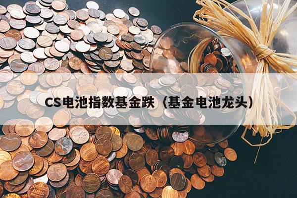 CS电池指数基金跌（基金电池龙头）