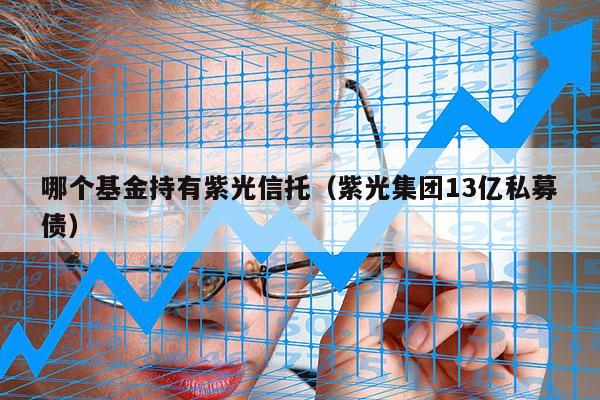 哪个基金持有紫光信托（紫光集团13亿私募债）