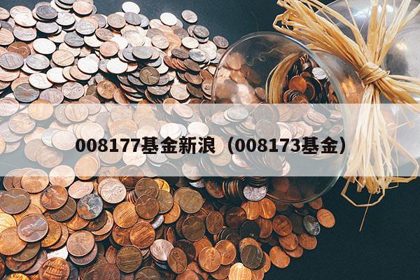 008177基金新浪（008173基金）