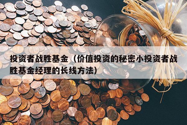 投资者战胜基金（价值投资的秘密小投资者战胜基金经理的长线方法）