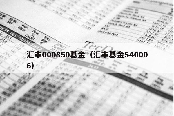 汇丰000850基金（汇丰基金540006）