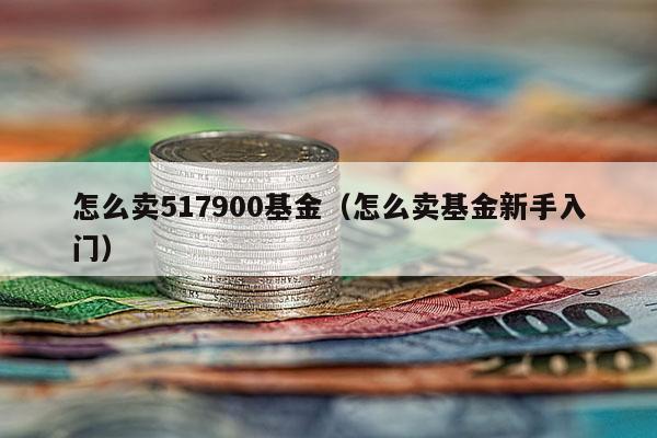 怎么卖517900基金（怎么卖基金新手入门）