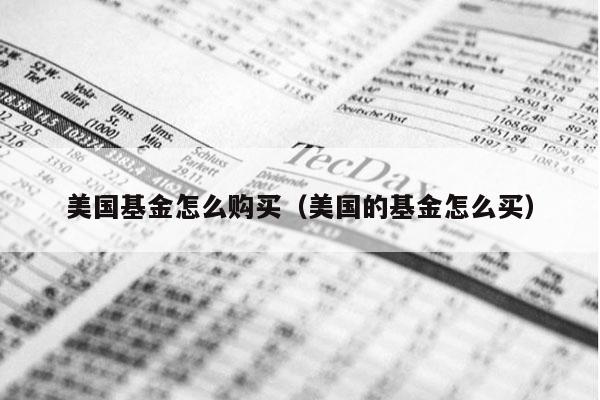美国基金怎么购买（美国的基金怎么买）