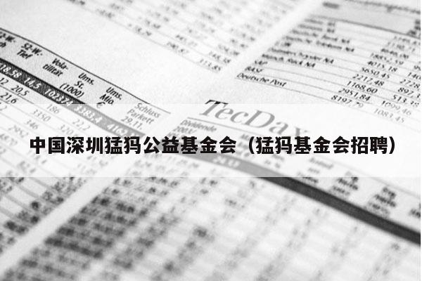 中国深圳猛犸公益基金会（猛犸基金会招聘）