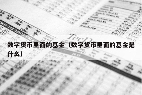 数字货币里面的基金（数字货币里面的基金是什么）