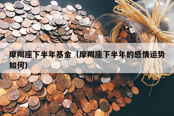 摩羯座下半年基金（摩羯座下半年的感情运势如何）