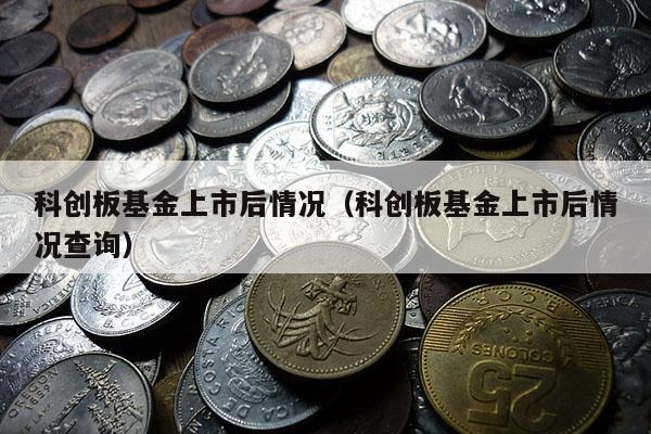 科创板基金上市后情况（科创板基金上市后情况查询）