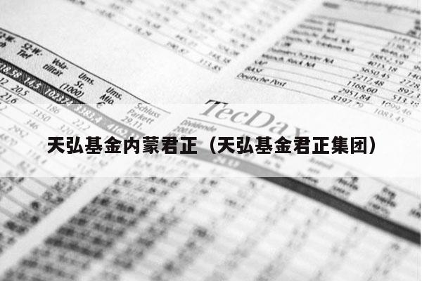 天弘基金内蒙君正（天弘基金君正集团）