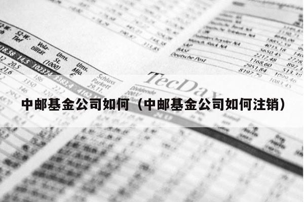 中邮基金公司如何（中邮基金公司如何注销）