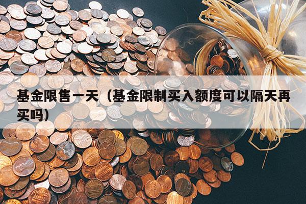 基金限售一天（基金限制买入额度可以隔天再买吗）