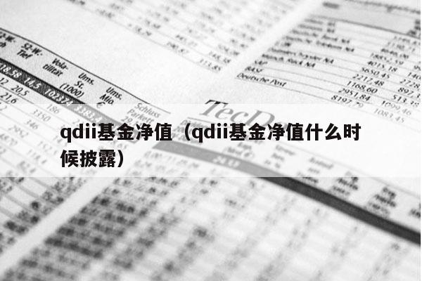 qdii基金净值（qdii基金净值什么时候披露）